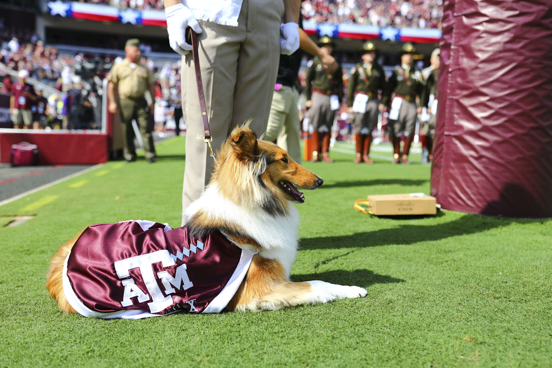 Reveille X